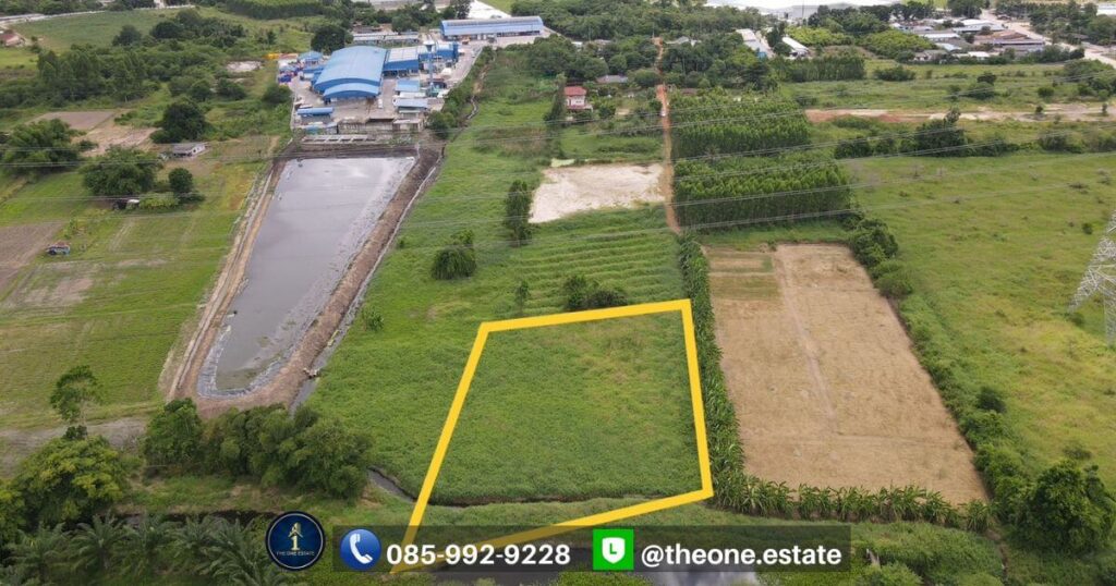 ขายที่ดิน บ่อทอง ชลบุรี ติดคลองโตนด ใกล้โรงงาน TFG