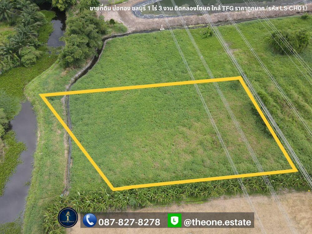 ขายที่ดิน บ่อทอง ชลบุรี ติดคลองโตนด ใกล้โรงงาน TFG