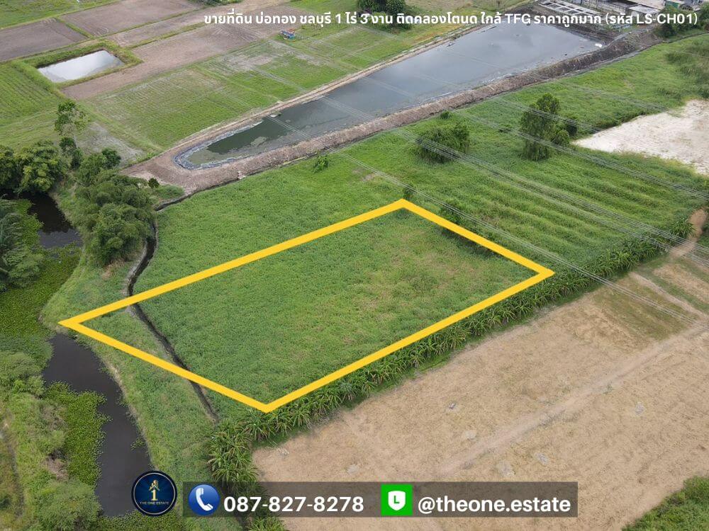 ขายที่ดิน บ่อทอง ชลบุรี ติดคลองโตนด ใกล้โรงงาน TFG