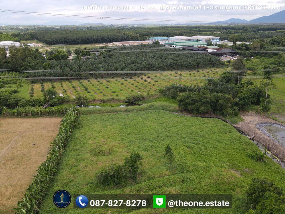 ขายที่ดิน บ่อทอง ชลบุรี ติดคลองโตนด ใกล้โรงงาน TFG