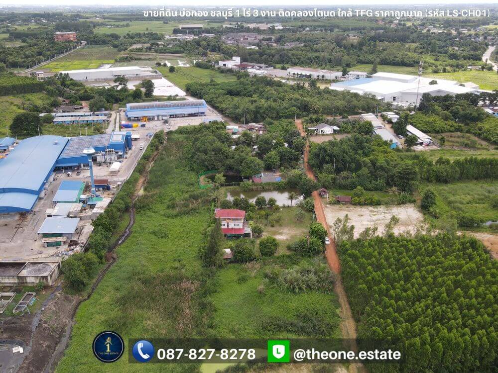 ขายที่ดิน บ่อทอง ชลบุรี ติดคลองโตนด ใกล้โรงงาน TFG