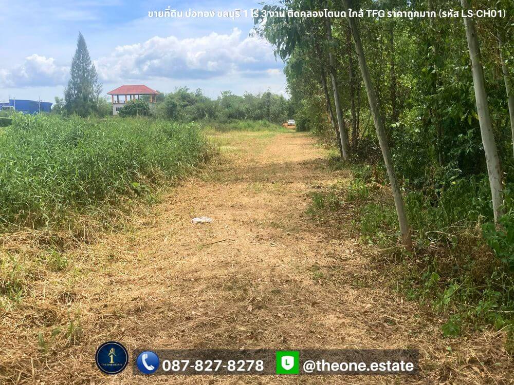 ขายที่ดิน บ่อทอง ชลบุรี ติดคลองโตนด ใกล้โรงงาน TFG