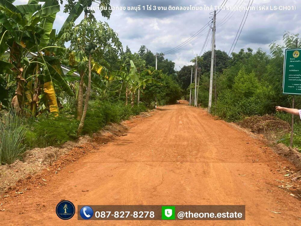 ขายที่ดิน บ่อทอง ชลบุรี ติดคลองโตนด ใกล้โรงงาน TFG