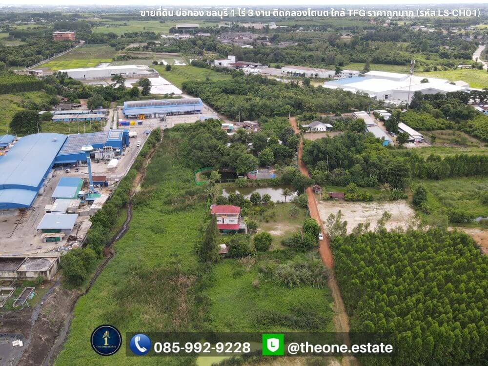 ขายที่ดิน บ่อทอง ชลบุรี ติดคลองโตนด ใกล้โรงงาน TFG