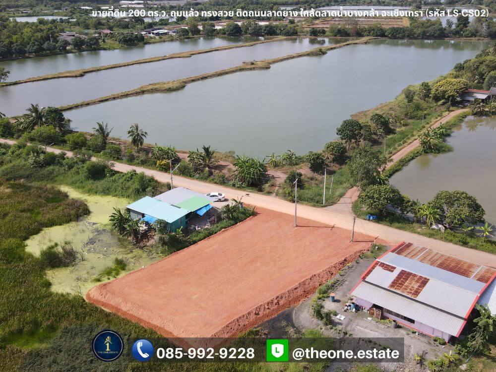 ขายที่ดิน บางคล้า 200 ตร.ว. ถมแล้ว ติดถนนลาดยาง ใกล้ตลาดน้ำบางคล้า ฉะเชิงเทรา