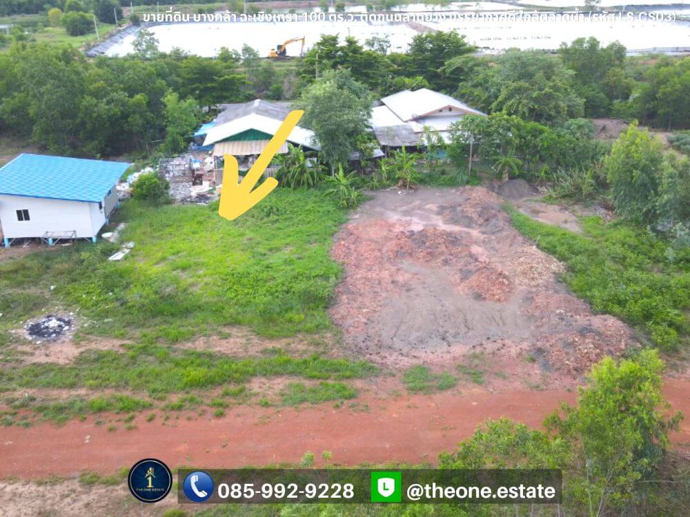 ขายที่ดิน บางคล้า ฉะเชิงเทรา 100 ตารางวา ติดถนนลาดยาง เหมาะสร้างบ้าน