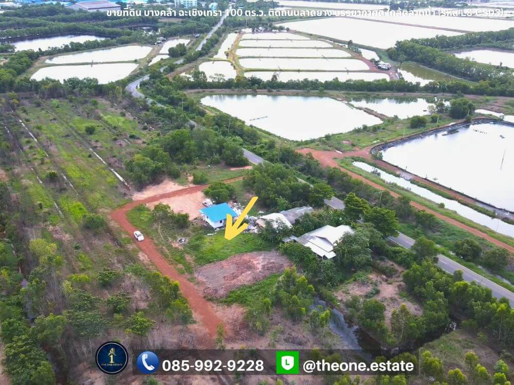 ขายที่ดิน บางคล้า ฉะเชิงเทรา 100 ตารางวา ติดถนนลาดยาง เหมาะสร้างบ้าน