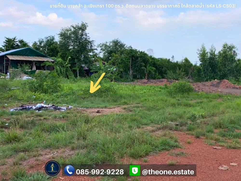 ขายที่ดิน บางคล้า ฉะเชิงเทรา 100 ตารางวา ติดถนนลาดยาง เหมาะสร้างบ้าน